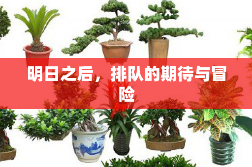 排队的期待与冒险图片