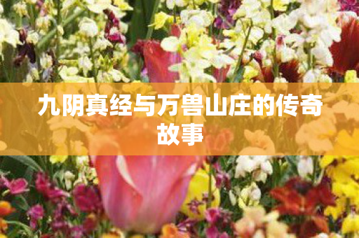 九阴真经与万兽山庄的传奇故事图片