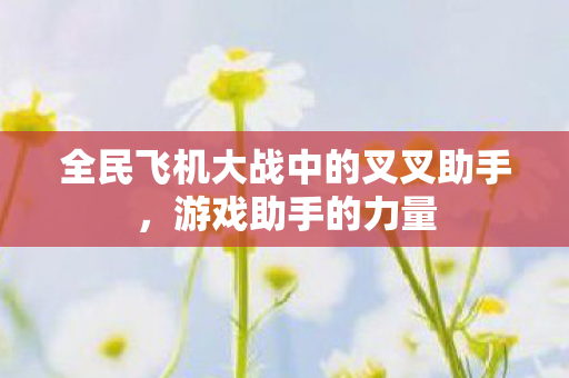 全民飞机大战中的叉叉助手图片