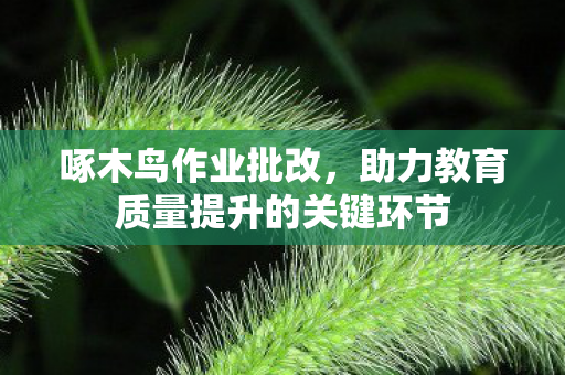 助力教育质量提升的关键环节图片