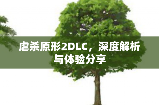 深度解析与体验分享图片