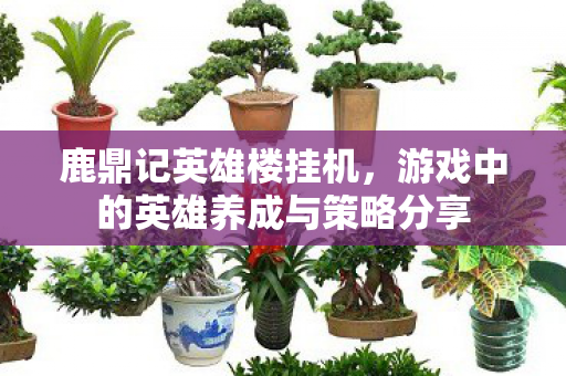 游戏中的英雄养成与策略分享图片