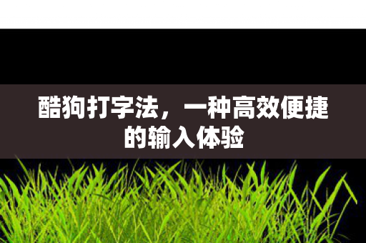 一种高效便捷的输入体验图片