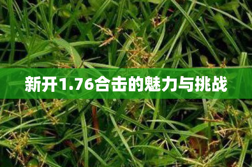 76合击的魅力与挑战图片