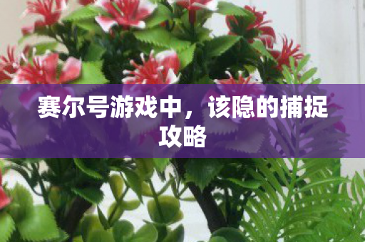 该隐的捕捉攻略图片