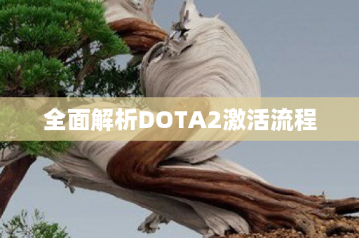 全面解析DOTA2激活流程图片