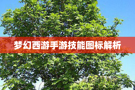 梦幻西游手游技能图标解析图片