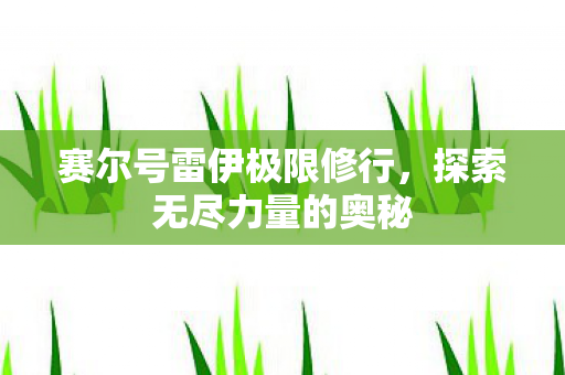 赛尔号雷伊极限修行图片