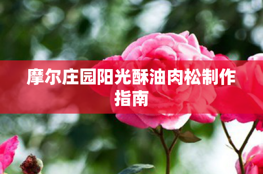 摩尔庄园阳光酥油肉松制作指南图片
