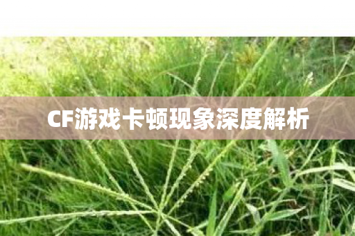 CF游戏卡顿现象深度解析图片