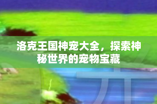 探索神秘世界的宠物宝藏图片