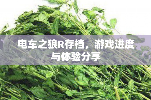 游戏进度与体验分享图片