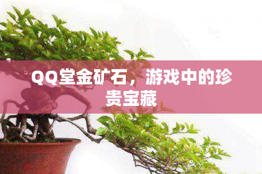 游戏中的珍贵宝藏图片