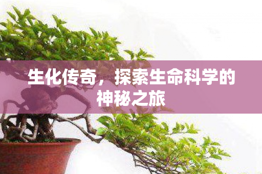 探索生命科学的神秘之旅图片