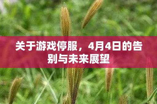 4月4日的告别与未来展望图片