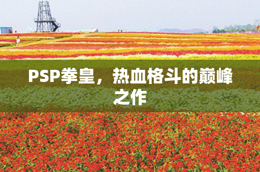 热血格斗的巅峰之作图片