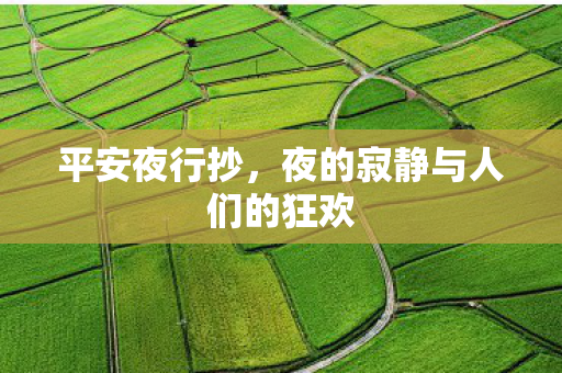 夜的寂静与人们的狂欢图片