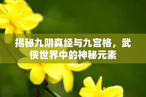 揭秘九阴真经与九宫格图片