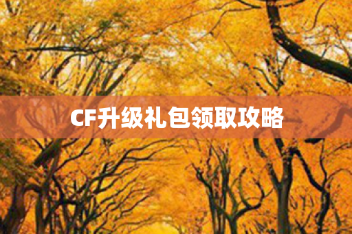 CF升级礼包领取攻略图片