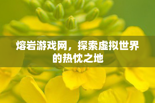 探索虚拟世界的热忱之地图片