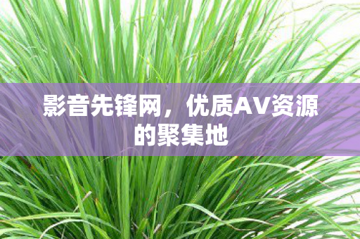 优质AV资源的聚集地图片
