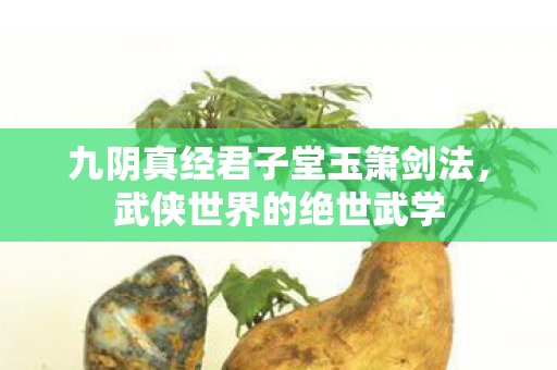 九阴真经君子堂玉箫剑法图片
