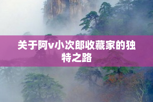 关于阿v小次郎收藏家的独特之路图片
