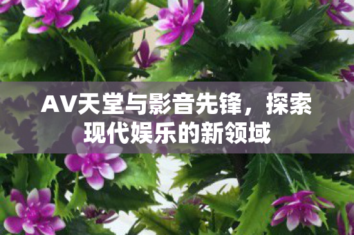 探索现代娱乐的新领域图片