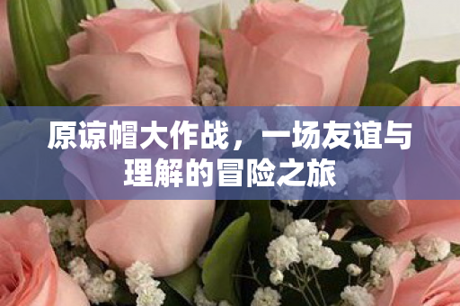 一场友谊与理解的冒险之旅图片