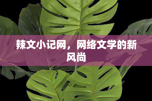 网络文学的新风尚图片