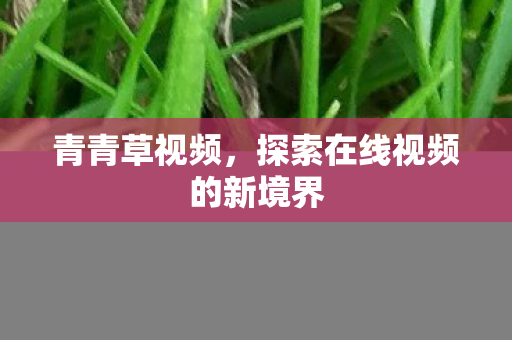 探索在线视频的新境界图片