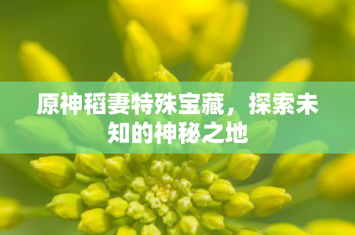 探索未知的神秘之地图片
