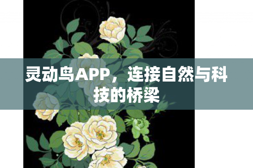连接自然与科技的桥梁图片