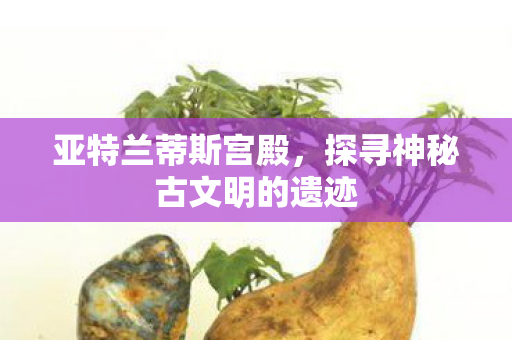 探寻神秘古文明的遗迹图片