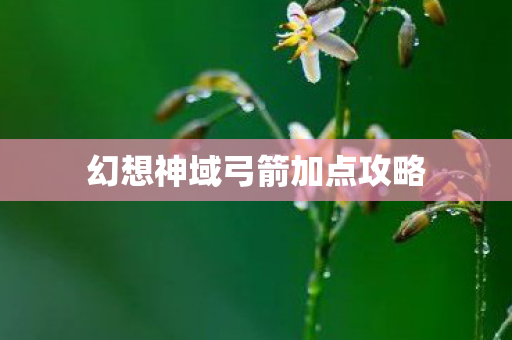 幻想神域弓箭加点攻略图片