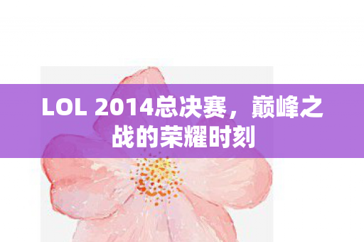 LOL 2014总决赛图片