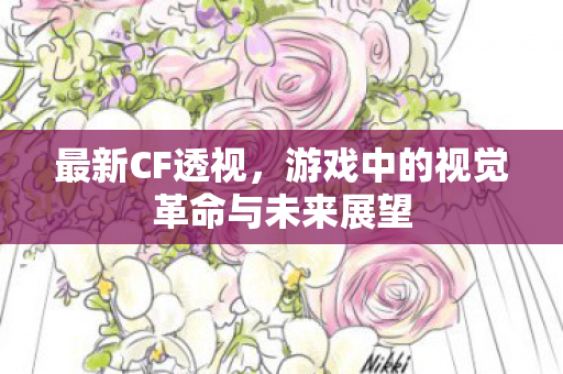 最新CF透视，游戏中的视觉革命与未来展望