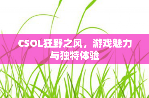 游戏魅力与独特体验图片