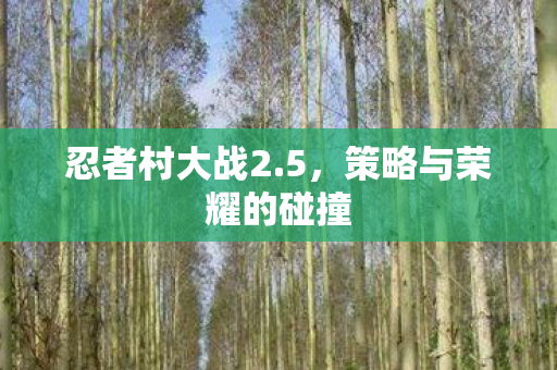 忍者村大战2.5，策略与荣耀的碰撞