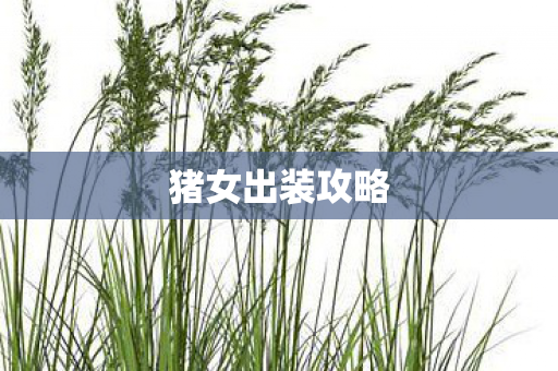 猪女出装攻略图片