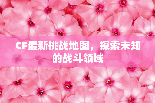探索未知的战斗领域图片