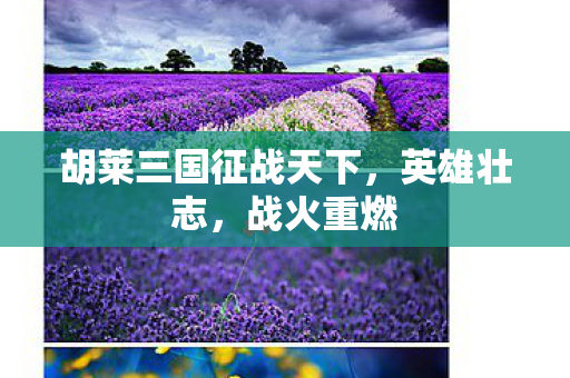 胡莱三国征战天下图片