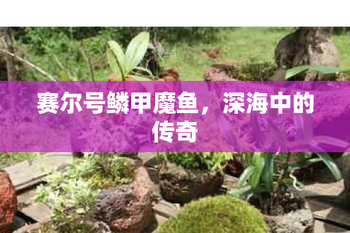赛尔号鳞甲魔鱼图片