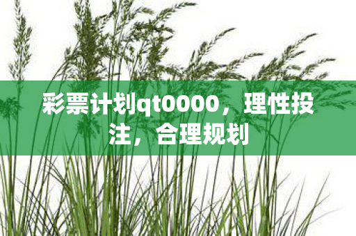 彩票计划qt0000图片