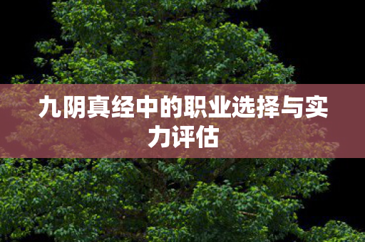 九阴真经中的职业选择与实力评估图片