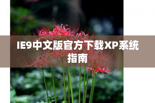 IE9中文版官方下载XP系统指南图片