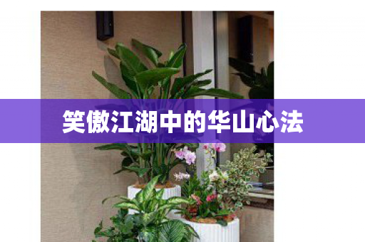 笑傲江湖中的华山心法图片
