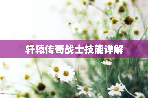 轩辕传奇战士技能详解图片