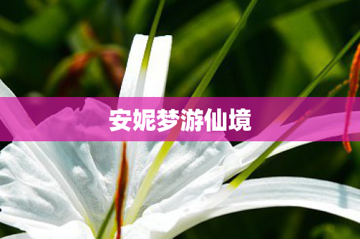 安妮梦游仙境图片