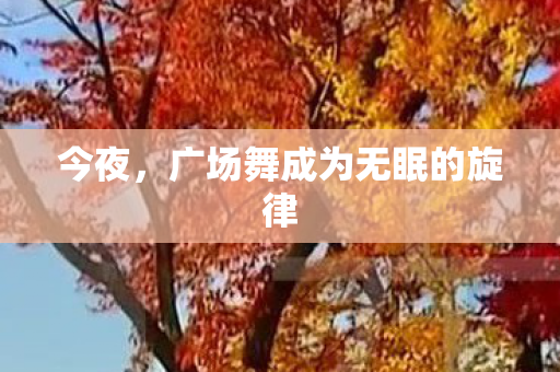 广场舞成为无眠的旋律图片